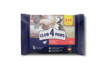 CLUB 4 PAWS PREMIUM For puppies "With turkey in gravy". Complete canned pet food