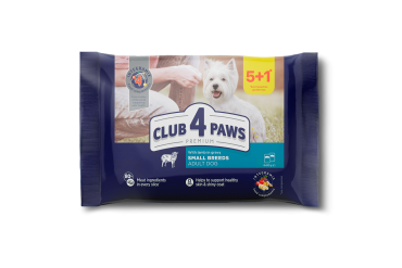Set CLUB 4 PAWS Premium "With lamb in gravy". Complete canned pet food for adult dogs of small breeds (0,08 х 6), 0,48 kg