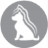 CLUB 4 PAWS ПРЕМІУМ ДЛЯ ЦУЦЕНЯТ "З ІНДИЧКОЮ В СОУСІ". ПОВНОРАЦІОННИЙ КОНСЕРВОВАНИЙ КОРМ.